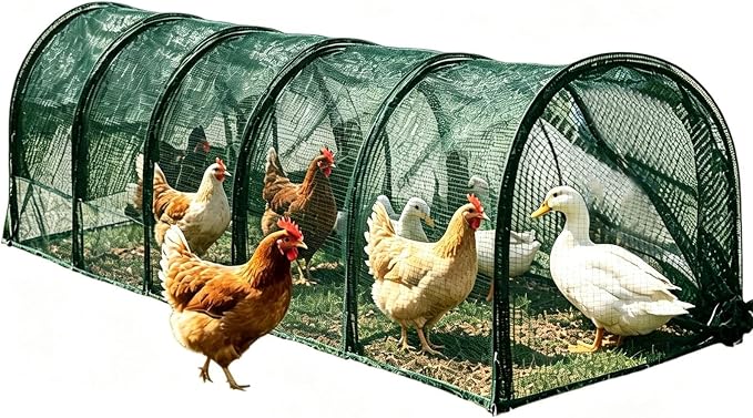 Chick Run - Sun Protection Net Chick Run, Flexible Portable Expandable Foldable Playpen, Pop-Up Mesh Poultry Brooder Enclosure | Outdoor Pasture Habitat Tent for Ducks Geese Rabbits Small