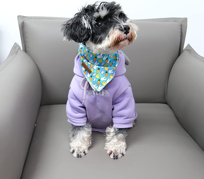Easter Triangle Bid Scarf, Cotton Pet Kerchief for Girl Boy Dogs or Cats, Cute Carrot & Rabbit Dog Bandana, Comfortable Easter Dog Bandana