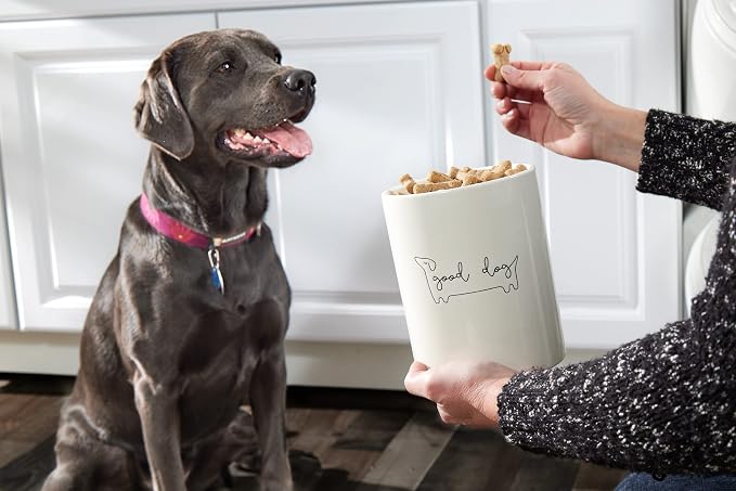 Pearhead Good Dog Ceramic Treat Jar with Airtight Wooden Lid | 4 Cup / 32 oz, Cute Pet Treat Canister Keeps Dog Snacks Fresh – Durable, Easy-to-Clean Design, Kitchen Counter Décor
