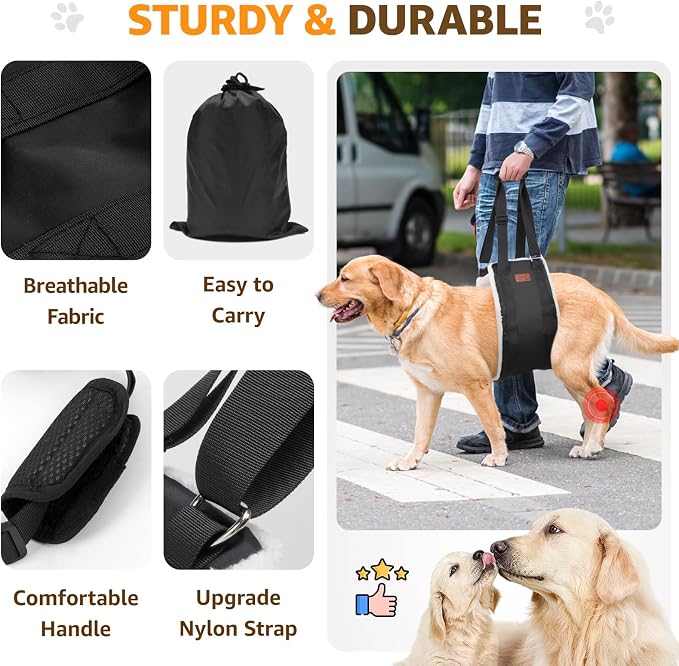 Adjustable Dog Lift Harness, Dog Sling for Large Dogs Lift Support and Rehab Harness for Weak Rear Legs, Soft Hind Leg Support Helps Senior, Injured,Disabled and After ACL Surgery Dogs(Black,X-Large) | Sturdy Support, Helps Seniors, Injured, Disabled a...