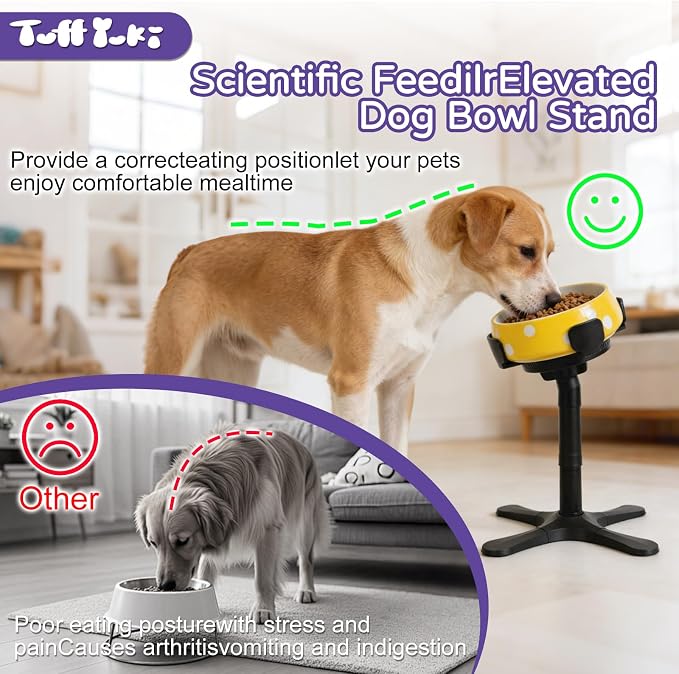 Raised Food Bowl for Dogs,Tilted Pet Feeder Stand,Non Slip Dog Bowls Stand,Dog Food Bowl Stand，for Small Medium Dogs,Adjustable for 5.5"-9.6" Bowls，Heavy-Duty Plastic，(Black, 1-Pack)