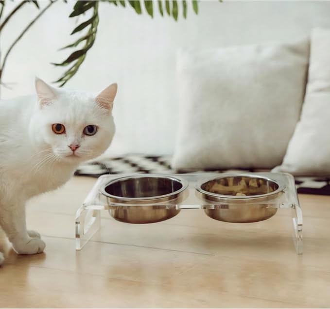 Tilted Raised Elevated Food and Water Bowls Stand for Cat or Small Dogs - Puppy's Clear Acrylic Stainless Steel Dishes Holder for Boy or Girl Pet,Modern,Durable and Easy to Clean by WBhonghui (Clear)