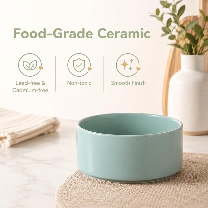 Havniva Ceramic Dog Bowls Elevated, Raised Dog Food Bowl for Small Dogs | 6.1” Elevated Dog Bowls, Non-Slip Wood Stand, Dog Food and Water Bowl Set, Dog Feeding Dish, Large Capacity Pet Water Bowl