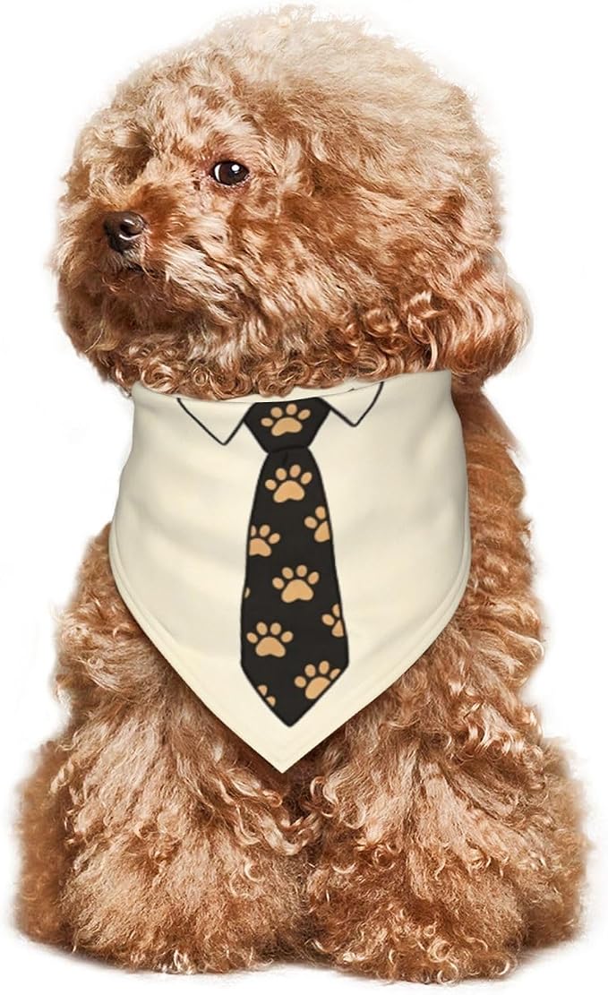 Teacher's Pet Dog Bandana,Funny Bandana Gift,Photo Prop Accessories for Dog Lovers Owner Gift,Triangle Reversible Fall Scarf, Adjustable (Yellow Tie)
