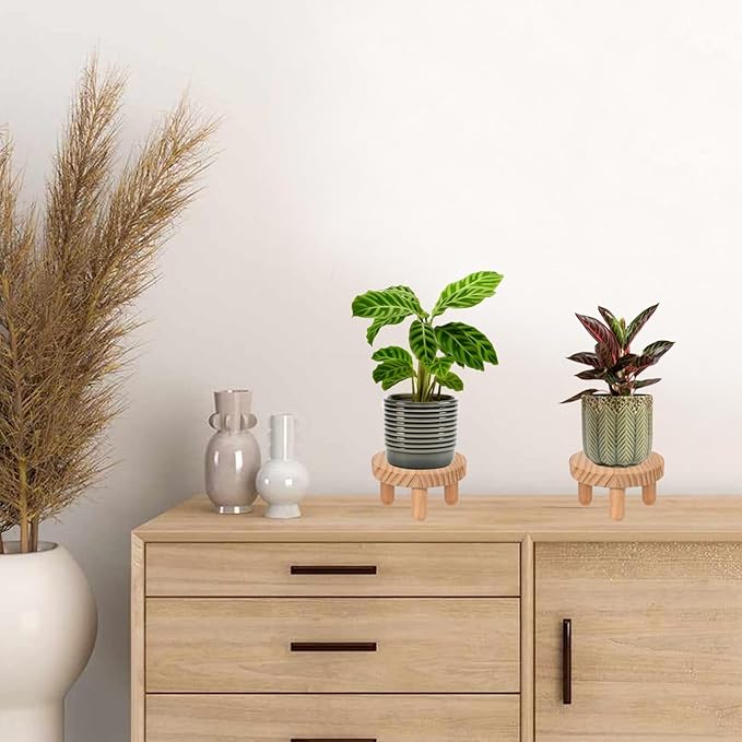 ARTORA Small Wooden Riser, Decorative Round Wood Desktop Plant Stand Mid Century Kitchen Counter Pedestal Stand for Centerpiece Pet Bowl Holder (Natural, 2 Pack)