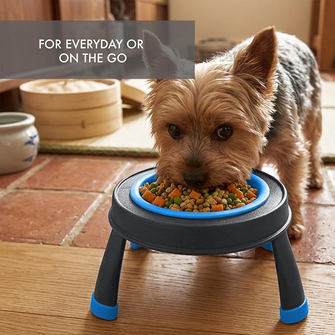 Dexas Pets Single Elevated Pet Feeder/Pet Bowl, I.5 Cup Capacity, Pro Blue, Small