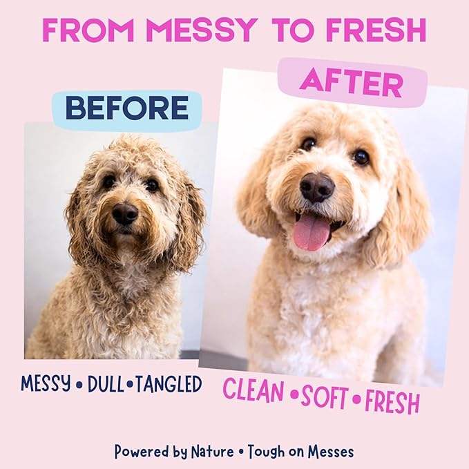 All-in-One Dog Shampoo & Conditioner, 16 oz – Oatmeal & Coconut Formula for Dry & Sensitive Skin, Gentle Cleansing, No Harsh Chemicals or Parabens, Light Fresh Scent, Made in USA
