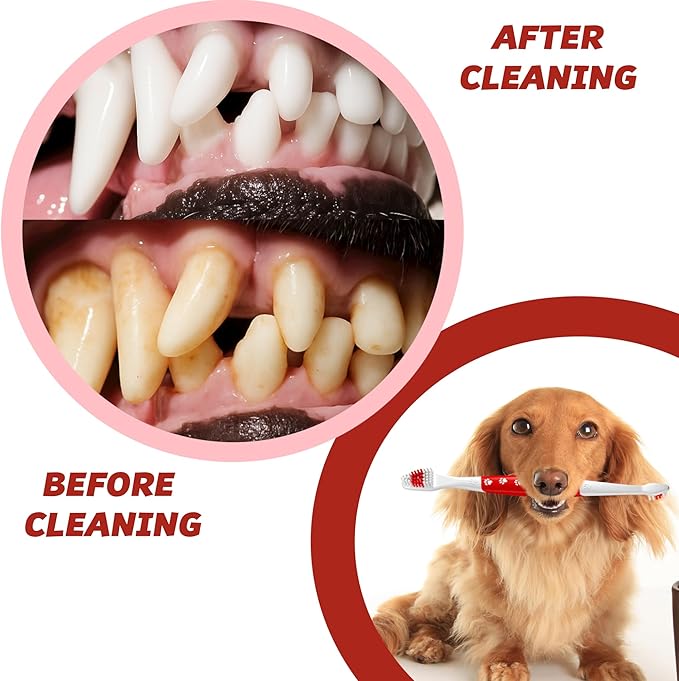 Pet Toothbrush for Dogs, Cats with Soft Bristles - Easy Teeth Cleaning & Dental Care, Non Slip Dual Head Dog Toothbrush for Medium & Large Pets, Toothpaste Not Included (Pack of 2(Pink & Green))
