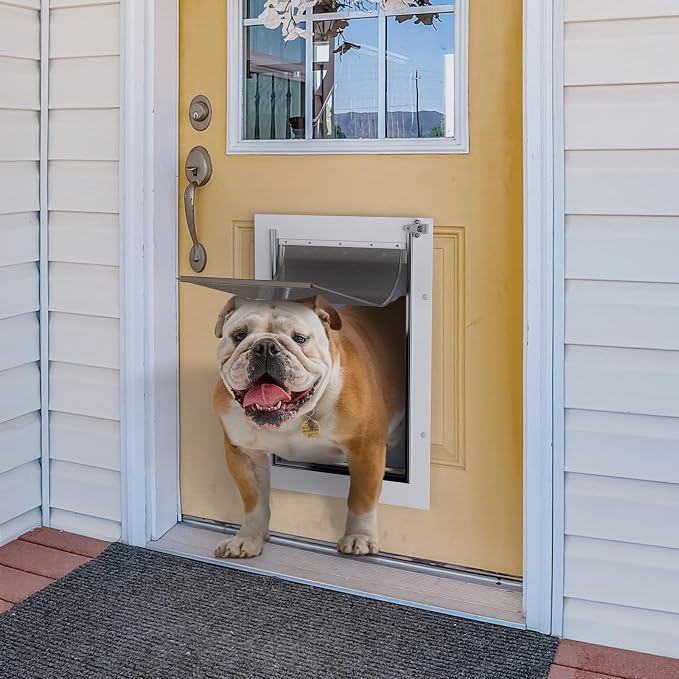 Baboni Dog Door for Door,Metal Frame,Large | Pets Up to 100 Lb,for Interior and Exterior Doors,Aluminum Lock,Metal Panel,Strong Magnetic Flaps
