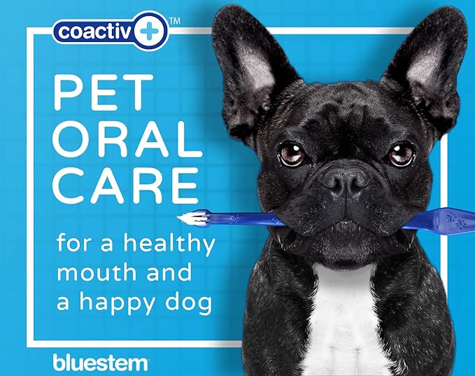 Bluestem toothbrbluestem Pet Toothbrush Set - Includes 2 Double-Sided Dog and Cat Tooth Brushes - Gentle Yet Effective Pet Teeth Cleaning Kit