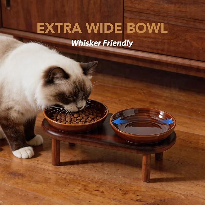 Havniva Elevated Cat Bowls, Ceramic Cat Bowl with Wood Stand, Wide Opening | 5.7” Raised Cat Food Bowls, Whisker Friendly Cat Dish, Anti-Slip Cat Water Bowls, Shallow Cat Bowls, Cat Food & Water Bowl