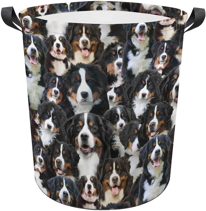 Bernese Mountain Dog Laundry Basket, Collapsible Laundry Hamper with Handles, Bernese Mountain Dog Laundry Hamper, Foldable Waterproof Clothes Hamper for Bedroom Bathroom