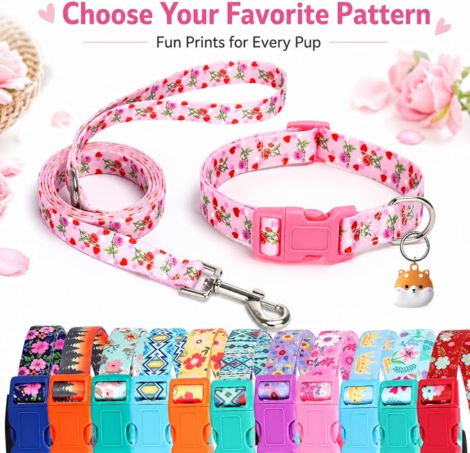 Floral Matching Dog Collar and Leash Set with AirTag Holder-Valentine's/S | Anti-Lost,Adjustable Durable Pet Collar Leash Combo for Small Boy Girl Dogs,for Outdoor Walking Hiking Training Running