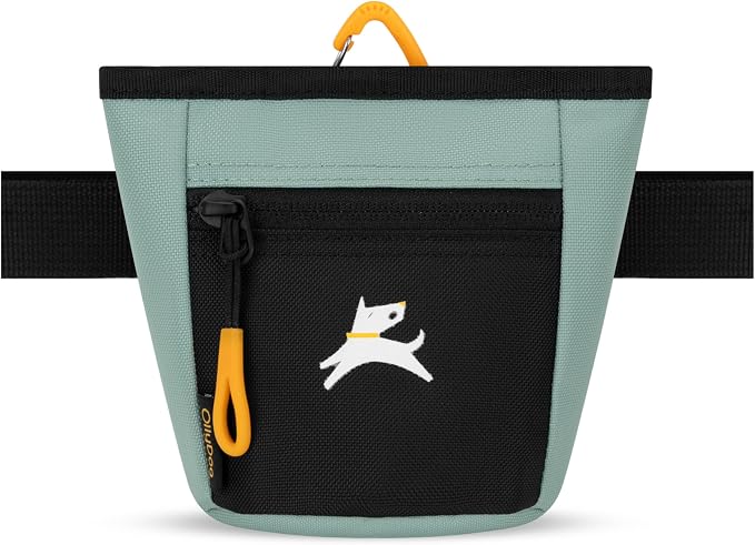 OllyDog, Goodie Treat Bag, Dog Treat Training Pouch | Magnetic Closure | 3 Ways to Wear | Hands-Free Waist Belt | Water-Resistant Recycled Vegan Fabric (Surf)