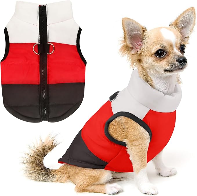 Idepet Pet Dog Cat Coat with Leash Anchor Color Patchwork Padded Puppy Vest Jacket Teddy Chihuahua Costumes Pug Cloth XS S M L (X-Small (Pack of 1), Black)