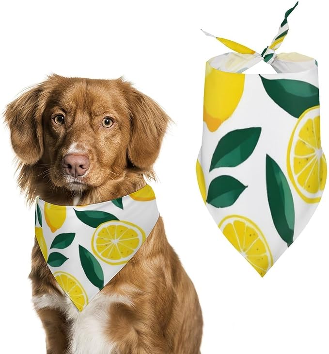 Summer Breathable Scarf for Small, Medium, Large Dogs Yellow Lemon and Cats, Washable Handkerchief with Adjustable Design