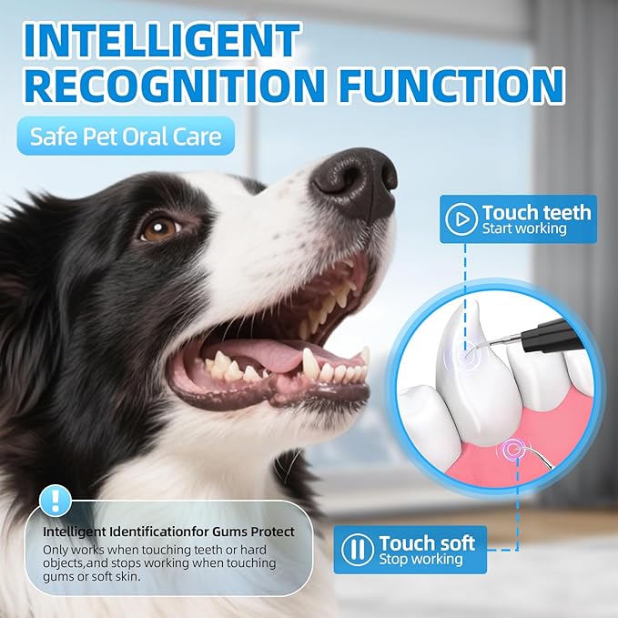 Plaque Remover for Teeth, Pet Ultrasonic Cleaner, Dog Plaque and Tartar Remover with LED Light, Dog Teeth Cleaning Dental Care Kit for Tartar and Stains, Suitable for Dogs and Cats (Black-1)