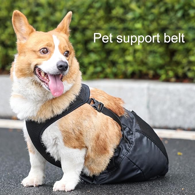 Drag Bag for Paralyzed Pets, Indoor Dog Wheelchair Alternative for Disabled Back Rear Legs Dog, Protects Chest and Limbs, Durable Nylon Breathable and Comfortable (L)