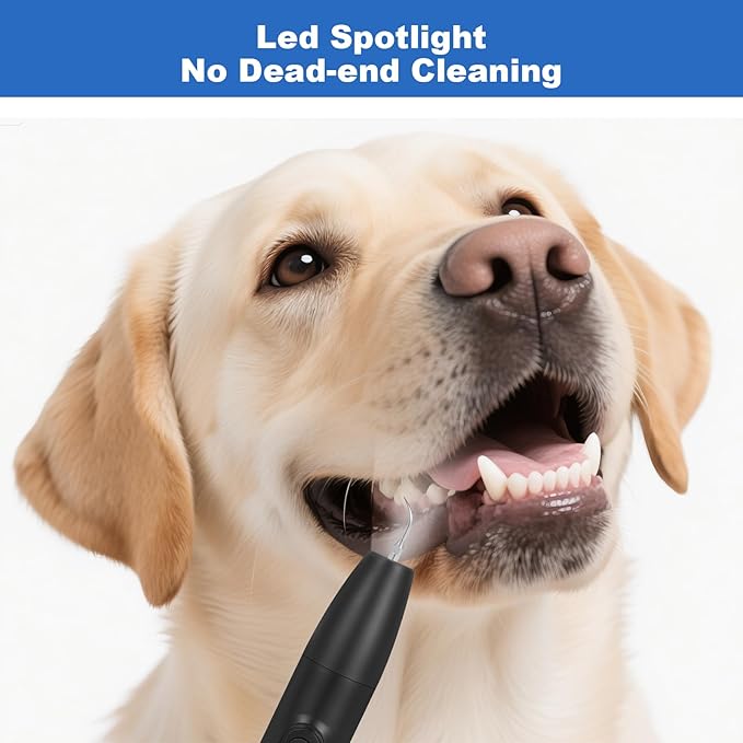Dog Teeth Cleaning Kit,Dogs Tooth Brushing Kit with Light,3 Modes Doggie Toothbrush, Dog Plaque and Tartar Remover for Teeth,Low Noise Pet Teeth Cleaner,Dark Black