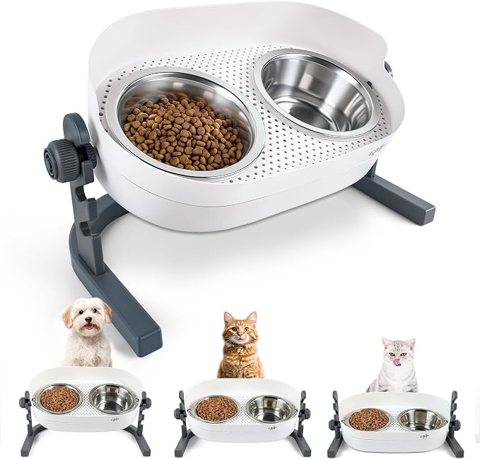 All for Paws Elevated Dog Bowls, Stainless Steel Food & Water Bowls, Height Adjustable Raised Cat Feeder Mess Proof Pet Feeding Bowls for Small to Large Size Dogs