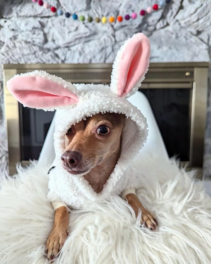 Fitwarm Halloween Sheep Dog Costumes, Funny Clothes for Small Dogs Boy Girl, Pet Apparel, White, Pink, Medium