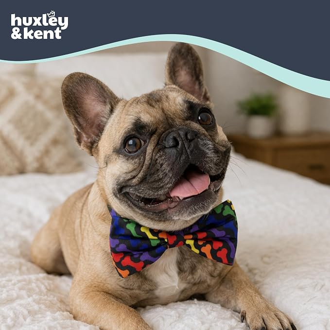 Huxley & Kent Pet Bow Tie for Dogs & Cats, Unity, Large/XLarge | Hook & Loop Attaches to Any Collar, Soft Polyester, Lightweight & Machine Washable, Perfect for Holidays & Photos