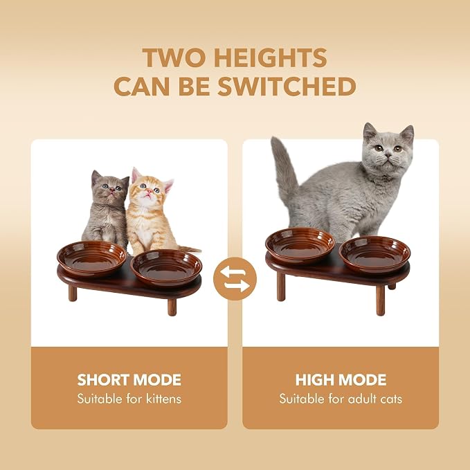 Havniva Elevated Cat Bowls, Ceramic Cat Bowl with Wood Stand, Wide Opening | 5.7” Raised Cat Food Bowls, Whisker Friendly Cat Dish, Anti-Slip Cat Water Bowls, Shallow Cat Bowls, Cat Food & Water Bowl