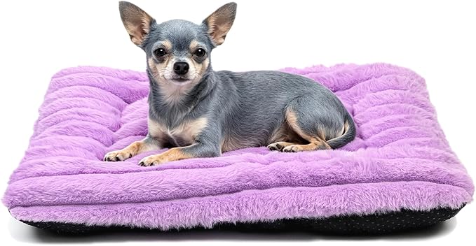 18 Inch Ultra Soft Comfy Pet Bed, Tiny Dog Bed, Washable Anti-Slip Crate Pad Sleeping Cushion Mat for XX-Small Dogs, Indoor Cats & Cat Carrier, Purple