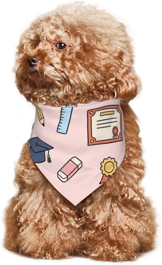 Teacher's Pet Dog Bandana,Funny Bandana Gift,Photo Prop Accessories for Dog Lovers Owner Gift,Triangle Reversible Fall Scarf, Adjustable (Light Pink)
