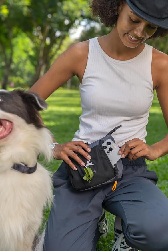 OllyDog Backcountry Day Bag | Dog Training Treat Pouch | Eco-Friendly Recycled Fabric Fanny Pack with Zipper Closure, Built-in Poop Bag Dispenser & Adjustable Waist Belt (Castle Rock)