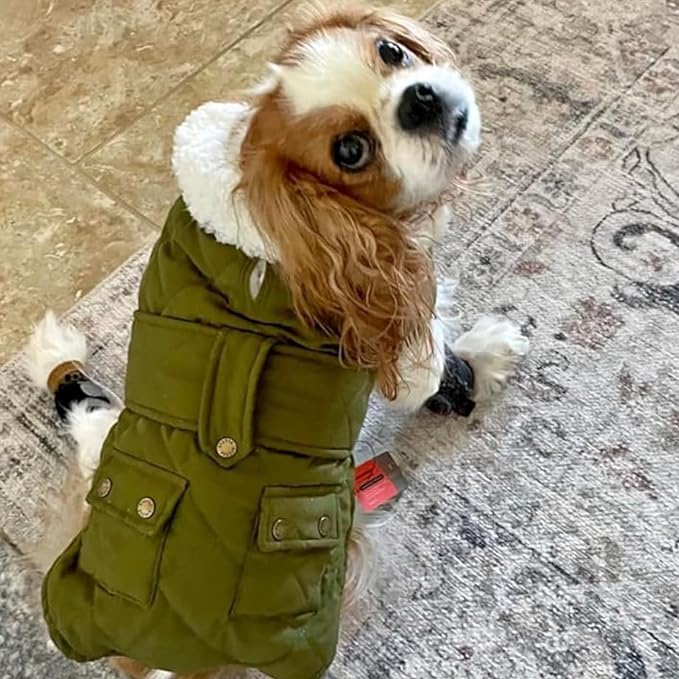 KYEESE Waterproof & Windproof Dog Coat for Small Dogs Puffer Jacket