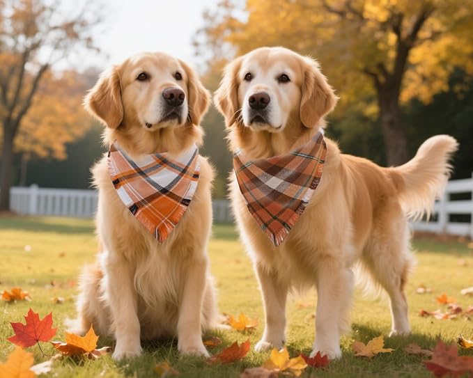 Fall Dog Bandanas 2PCS Large Plaid Tassels Halloween Thanksgiving Outfit | Fall festive 2-pack orange plaid bandanas with tassels.Ideal for Halloween parties,Thanksgiving dinners & holiday photos.
