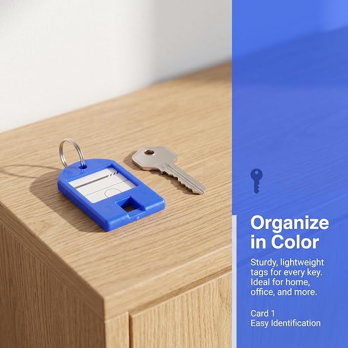 POPETPOP Plastic Key Tags Sturdy Plastic Organizers 100pcs with Split Ring and Personalizable Label, Colored Key Labels and Random Color for USB Drive and Small Luggage for Offices