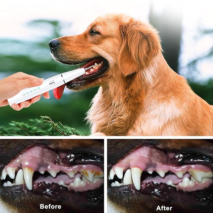 Plaque Remover for Teeth, Pet Ultrasonic Cleaner, Dog Plaque and Tartar Remover with LED Light, Dog Teeth Cleaning Dental Care Kit for Tartar and Stains, Suitable for Dogs and Cats (White)