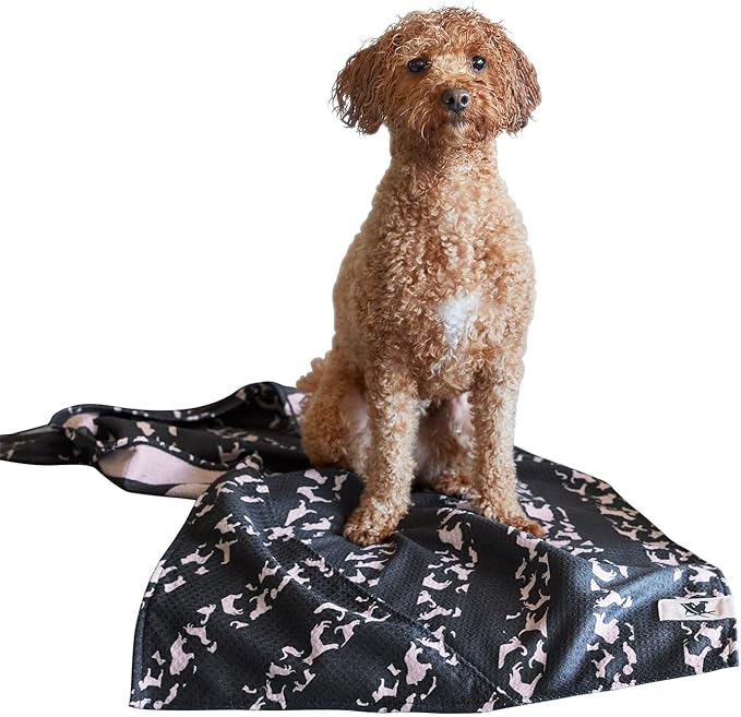 Dock & Bay Pet Towel - Super Absorbent & Quick Drying Dog Towels with Bag - 100% Recycled - Walkies in the Park, Medium (90x50cm, 35x19)