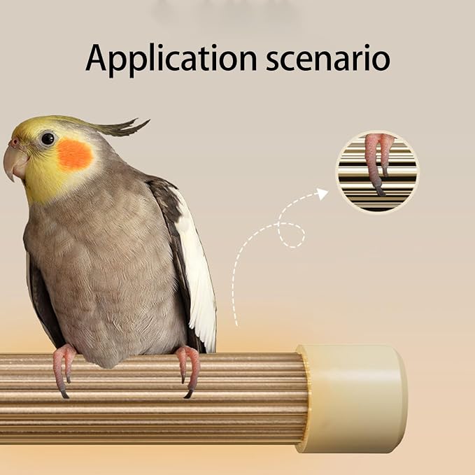 Thermostat Heated Perch Stand for Pet Bird Cage Featuring Consistent Heat and Simple Maintenance Design Heating Device Thermostat Bird Perch