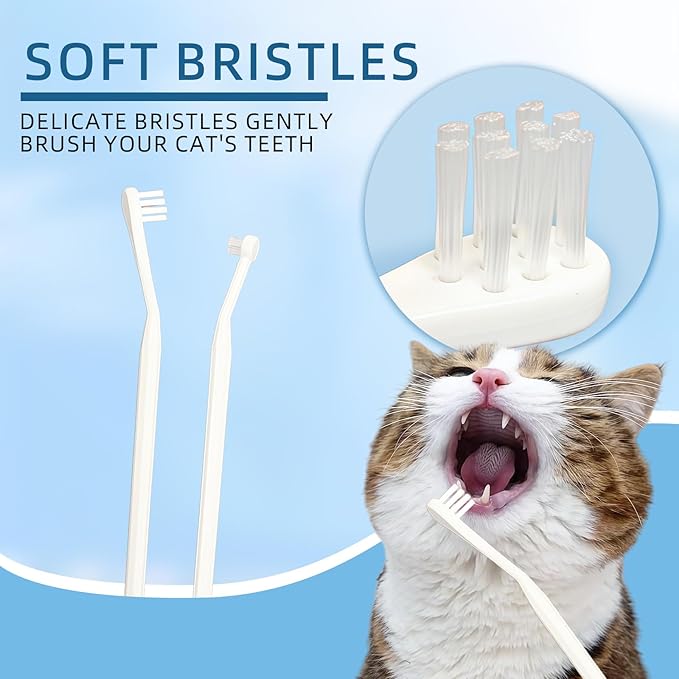 HOP Cat Toothbrush and Toothpaste Kit Vanilla Cat Toothpaste(70g) 2 Soft Nylon Bristles Micro-Head Cat Toothbrushes Kitten Tooth Brushing Kit Pet Dental Care Kit for Cats and Small Dogs Fresh Breath