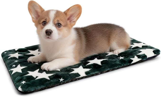 Washable Dog Bed Mat with Anti-Slip Bottom, Deluxe Plush Memory Foam Crate Pad & Waterproof Outdoor Kennel Mat for Dogs & Cats-Durable Crates Beds, Large Medium Small Puppy Size24 x 18",Green