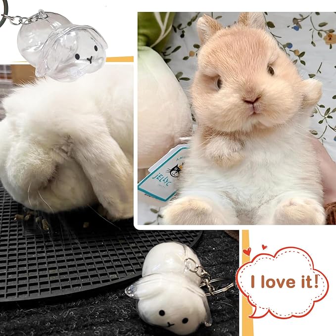 Rabbit Hair Keychain Transparent Pet Fur Keepsake with Tweezer | Portable Rabbit Fur Keychain DIY Pet Hair Memorial Keepsake Bunny Hairs Collector Charm Storage Box, Rabbits Lover Gifts