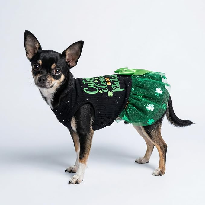 Fitwarm Cutest Clover in the Patch Dog Dress, St Patricks Day Dog Clothes for Small Dogs Girl, Funny Pet Cat Puppy Holiday Outfit, Black, Emerald Green, XS