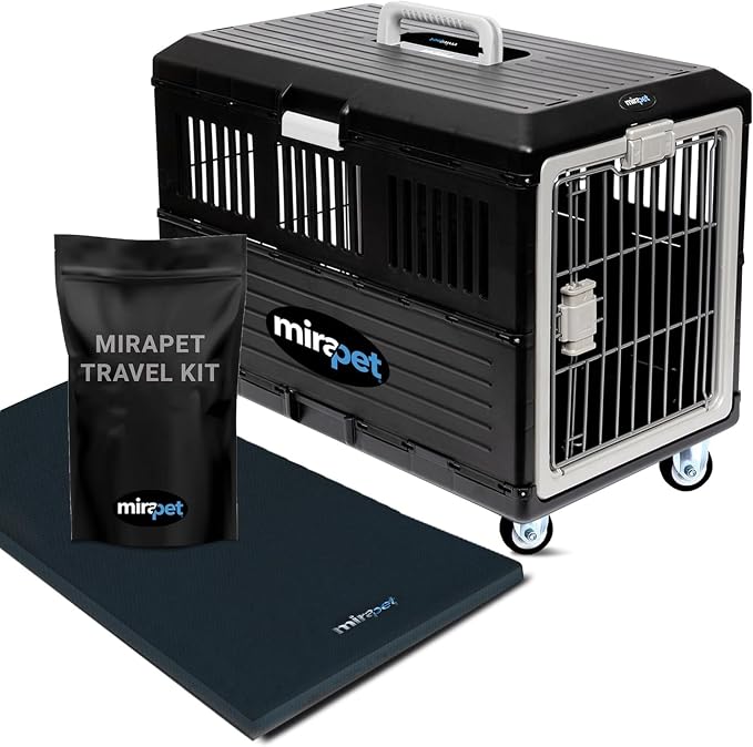Pet Carrier with Pad, 21.5" L x 12" W x 14" H - Collapsible Travel Kit for Small Cats & Dogs, Hard Plastic Wall Kennel for Indoor/Outdoor Use