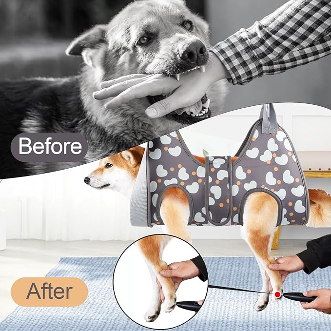 ATESON Dog Grooming Hammock for Medium/Large Dogs with Nail Clippers/Nail Trimmers, Dog Grooming Harness for Nail Trimming, Pet Grooming Sling Helper
