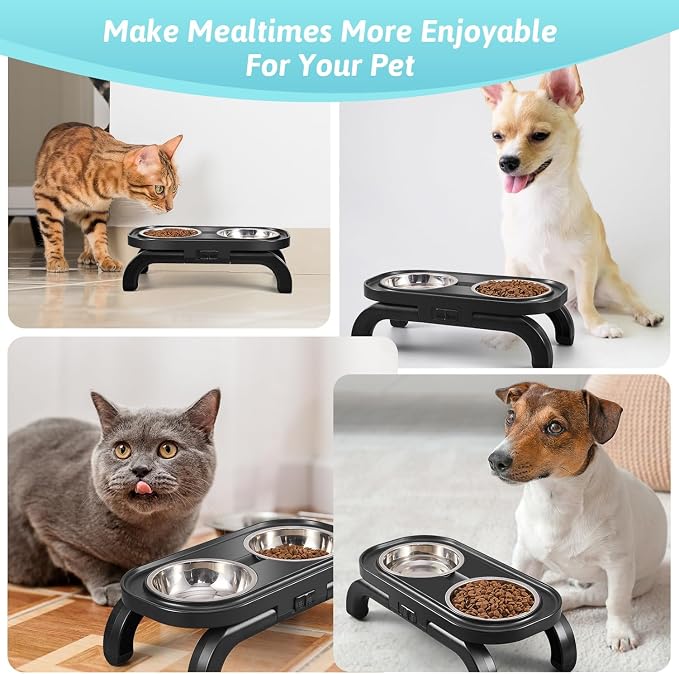 Elevated Dog Bowls, Heighth Adjustable Raised Dog Bowl Stand with Stainless Steel No Spill Water Bowl and Non-Slip Food Bowl, Metal Dog Feeding Station for Small and Medium Dogs & Cats, Black