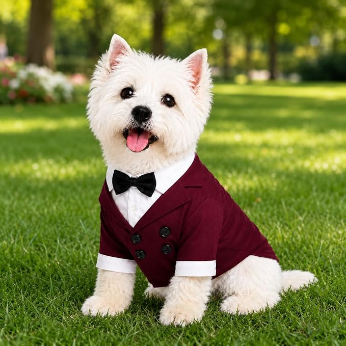 Lovelonglong Pet Costume Dog Suit Formal Tuxedo with Black Bow Tie for Large Dogs Labrador Gray L-L