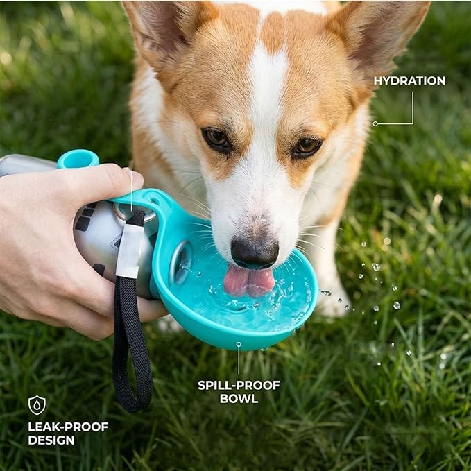 2026 NEW 2-in-1 Portable Dog Water Bottle for Small Dogs - Leak-Proof & Compact Dog Travel, Foldable Pet Water Bottle for Small Dog Walking, Hiking & Travel (Blue)