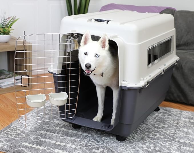 SportPet Designs Plastic Kennels Rolling Plastic Wire Door Travel Dog Crate- XX-Large