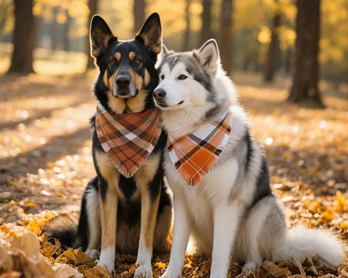 Fall Dog Bandanas 2PCS XLarge Plaid Tassels Halloween Thanksgiving Outfit | Fall festive 2-pack orange plaid bandanas with tassels.Ideal for Halloween parties,Thanksgiving dinners & holiday photos.