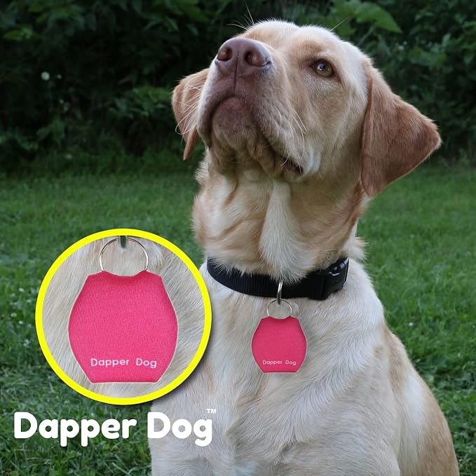Dapper Dog - Dog Tag Silencer with Tag Ring (Pink)