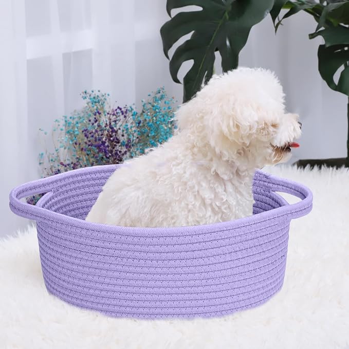 ABenkle Small Basket with Handles, Boho Decorative Rope Woven Dog Cat Toy Storage Bin Shelf Storage Organizer, Easter Christmas Gift Basket, 12"x8"x5"
