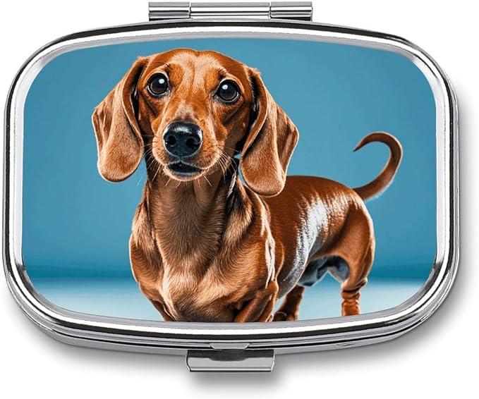Dachshund Weiner Pet Dog Pill Box Travel Pill Organizer 2-Compartment with Mirror Design Portable Square Medicine Case for Vitamins, Jewelry & Essentials Durable Pocket Pillcase for Purse, Camping